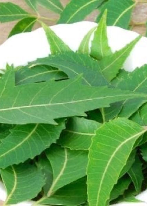 06F9B986-CD0E-4E1D-8988-2B6EBE6AD772_4_5005_c