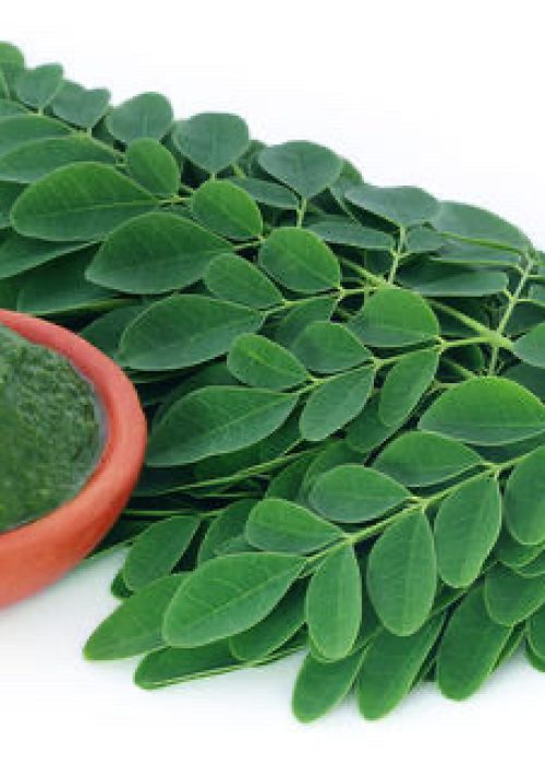 8CB837E1-5126-4C2A-AE55-8E1139E62DDE_4_5005_c