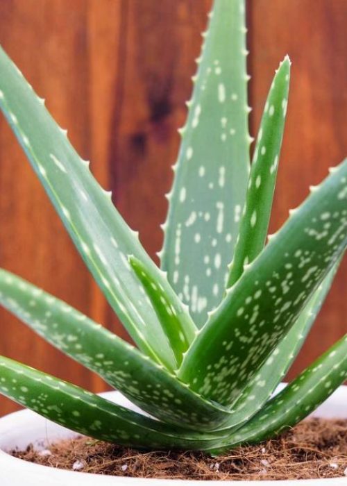 98A5975A-29ED-4E89-BC03-F6E8EAC0C8C9