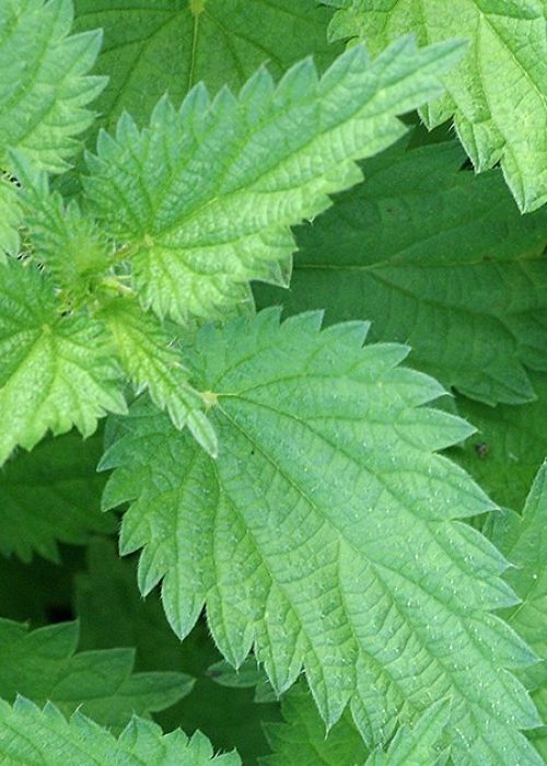 F7A3A0B0-710C-49E2-992A-8637CB80599D