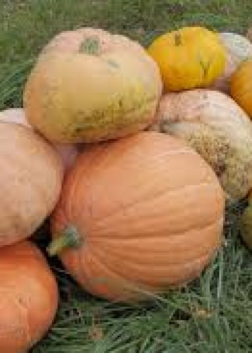 images-4